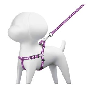 COPE-10 CORREA PARA PERRO CON PECHERA 1 CM DE ANCHO (CHICA) TRUPER