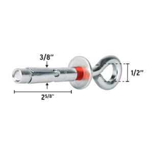 TAE-10X60C TAQUETE DE EXPANSION C/ARGOLLA 5/16    3/8X2 5/8  (P/BROCA 3/8) (BOLSA C/4 PZAS) FIERO - Imagen 2